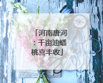河南唐河：千亩油蟠桃喜丰收