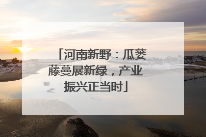河南新野：瓜蒌藤蔓展新绿，产业振兴正当时