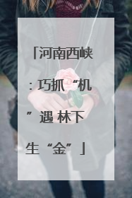 河南西峡：巧抓“机”遇 林下生“金”