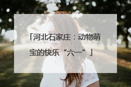 河北石家庄：动物萌宝的快乐“六一”