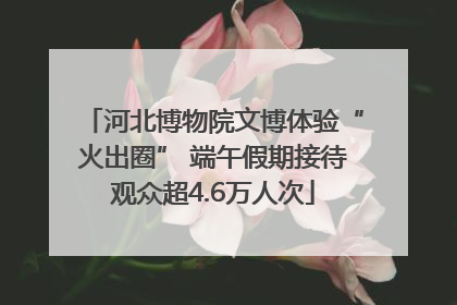 河北博物院文博体验“火出圈” 端午假期接待观众超4.6万人次