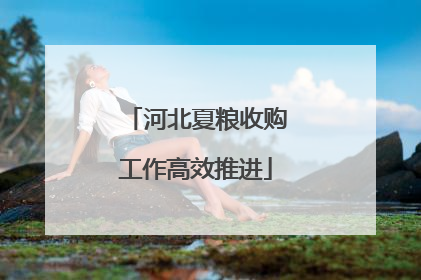 河北夏粮收购工作高效推进