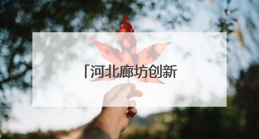 河北廊坊创新机制——优环境解难题促发展