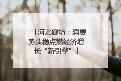 河北廊坊：消费势头稳点燃经济增长“新引擎”