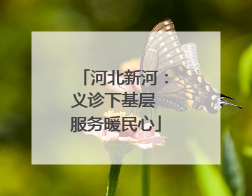 河北新河：义诊下基层 服务暖民心