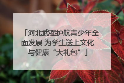 河北武强护航青少年全面发展 为学生送上文化与健康“大礼包”