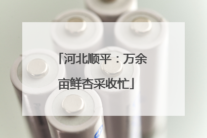 河北顺平：万余亩鲜杏采收忙