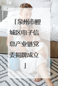 泉州市鲤城区电子信息产业链党委揭牌成立