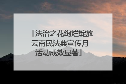 法治之花绚烂绽放 云南民法典宣传月活动成效显著