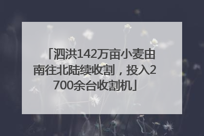 泗洪142万亩小麦由南往北陆续收割，投入2700余台收割机