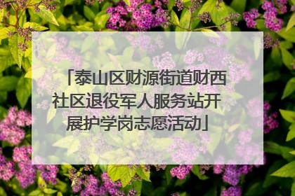 泰山区财源街道财西社区退役军人服务站开展护学岗志愿活动