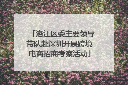 洛江区委主要领导带队赴深圳开展跨境电商招商考察活动