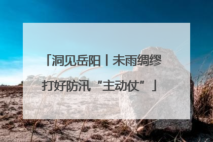 洞见岳阳丨未雨绸缪 打好防汛“主动仗”