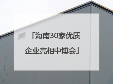 海南30家优质企业亮相中博会