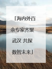 海内外百余专家齐聚武汉 共探数智未来