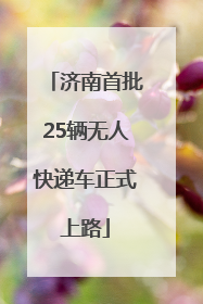济南首批25辆无人快递车正式上路