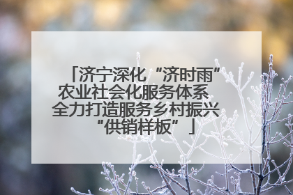 济宁深化“济时雨”农业社会化服务体系 全力打造服务乡村振兴“供销样板”
