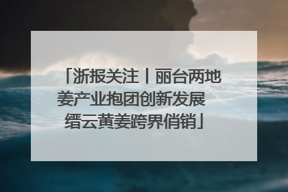 浙报关注丨丽台两地姜产业抱团创新发展 缙云黄姜跨界俏销