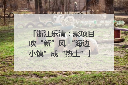 浙江乐清：聚项目吹“新”风 “海边小镇”成“热土”