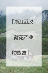 浙江武义：荷花产业助致富