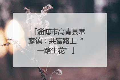 淄博市高青县常家镇：共富路上“一路生花”