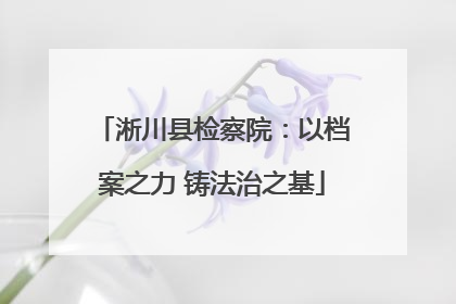 淅川县检察院：以档案之力 铸法治之基