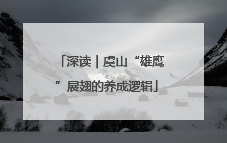 深读｜虞山“雄鹰”展翅的养成逻辑