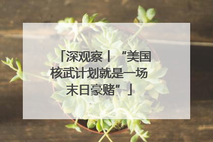 深观察丨“美国核武计划就是一场末日豪赌”