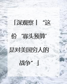 深观察丨“这份‘寡头预算’是对美国穷人的战争”