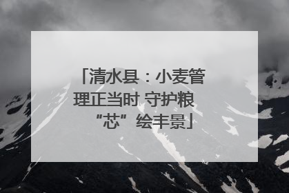 清水县：小麦管理正当时 守护粮“芯”绘丰景