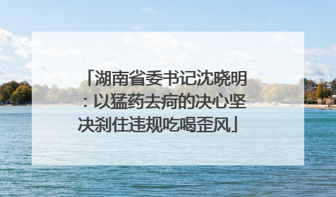 湖南省委书记沈晓明：以猛药去疴的决心坚决刹住违规吃喝歪风