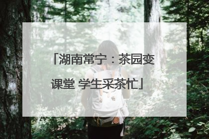 湖南常宁：茶园变课堂 学生采茶忙