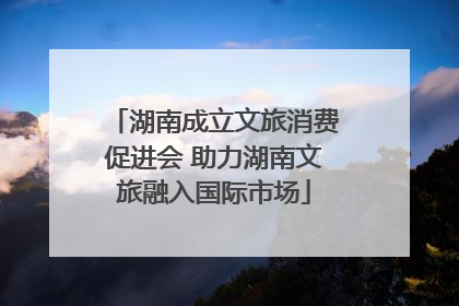 湖南成立文旅消费促进会 助力湖南文旅融入国际市场