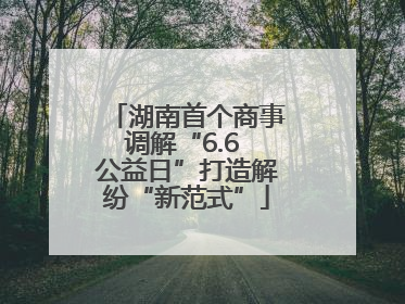湖南首个商事调解“6.6 公益日”打造解纷“新范式”