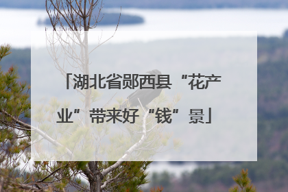 湖北省郧西县“花产业”带来好“钱”景