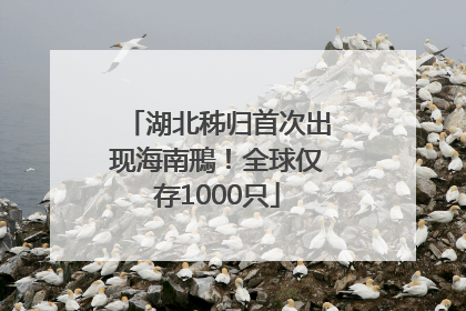 湖北秭归首次出现海南鳽！全球仅存1000只