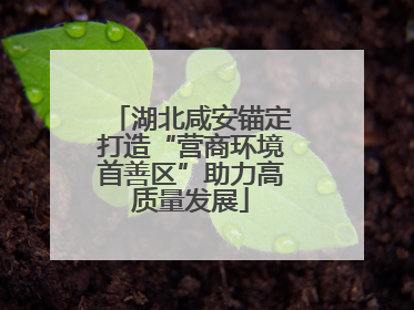 湖北咸安锚定打造“营商环境首善区”助力高质量发展