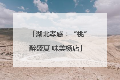 湖北孝感：“桃”醉盛夏 味美杨店