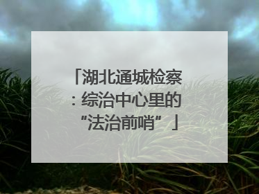 湖北通城检察：综治中心里的“法治前哨”