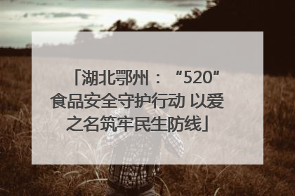 湖北鄂州：“520”食品安全守护行动 以爱之名筑牢民生防线