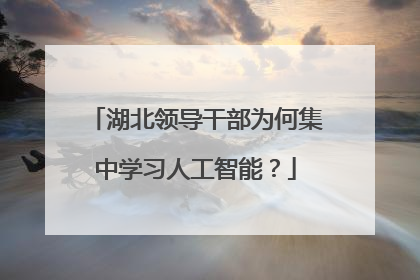 湖北领导干部为何集中学习人工智能？