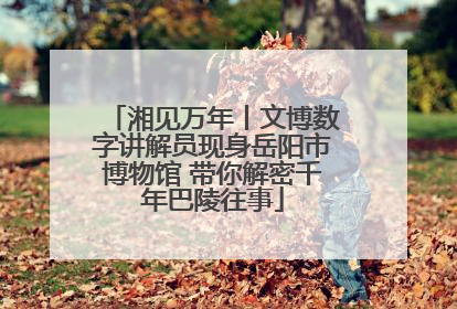 湘见万年丨文博数字讲解员现身岳阳市博物馆 带你解密千年巴陵往事