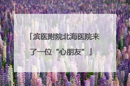 滨医附院北海医院来了一位“心朋友”