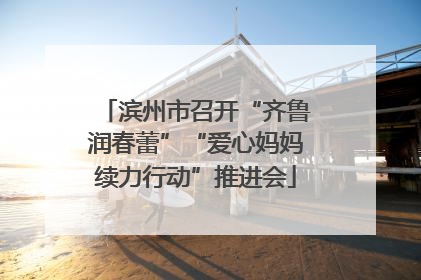 滨州市召开“齐鲁润春蕾”“爱心妈妈续力行动”推进会