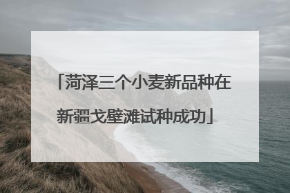 菏泽三个小麦新品种在新疆戈壁滩试种成功