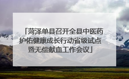 菏泽单县召开全县中医药护佑健康成长行动省级试点暨无偿献血工作会议