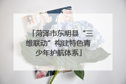菏泽市东明县“三维联动”构建特色青少年护航体系