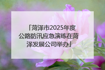 菏泽市2025年度公路防汛应急演练在菏泽发展公司举办