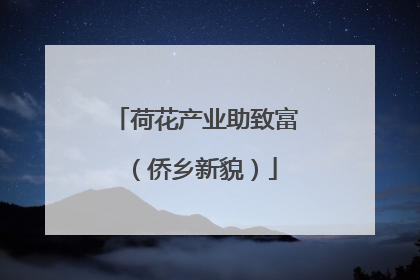 荷花产业助致富（侨乡新貌）