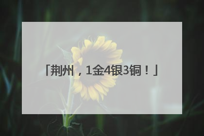 荆州，1金4银3铜！